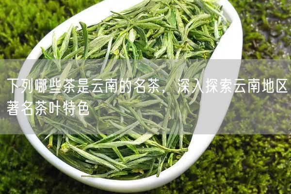 下列哪些茶是云南的名茶，深入探索云南地区著名茶叶特色