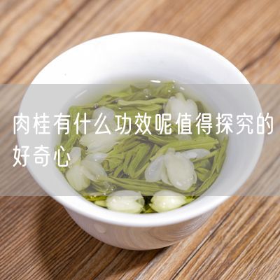 肉桂有什么功效呢值得探究的好奇心