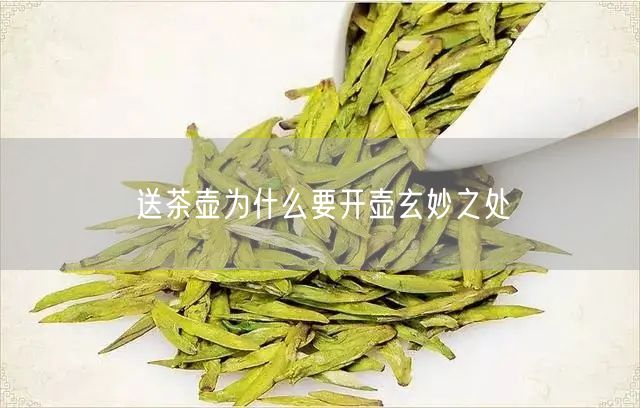 送茶壶为什么要开壶玄妙之处