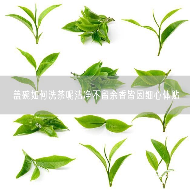 盖碗如何洗茶呢洁净不留余香皆因细心体贴