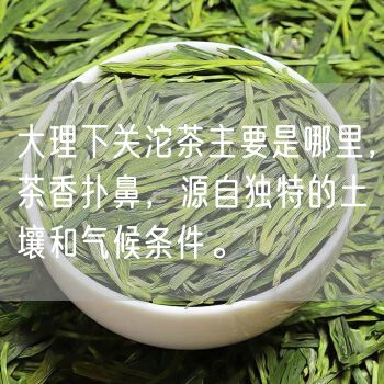 大理下关沱茶主要是哪里，茶香扑鼻，源自独特的土壤和气候条件。