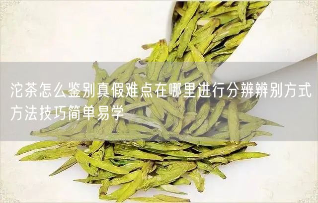 沱茶怎么鉴别真假难点在哪里进行分辨辨别方式方法技巧简单易学