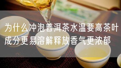 为什么冲泡普洱茶水温要高茶叶成分更易溶解释放香气更浓郁