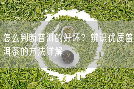 怎么判断普洱的好坏？辨识优质普洱茶的方法详解