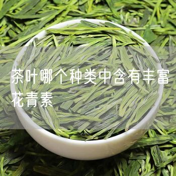 茶叶哪个种类中含有丰富花青素