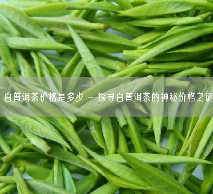 白普洱茶价格是多少 - 探寻白普洱茶的神秘价格之谜