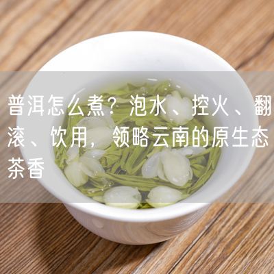 普洱怎么煮？泡水、控火、翻滚、饮用，领略云南的原生态茶香