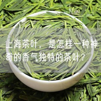 上海茶叶，是怎样一种神奇的香气独特的茶叶？