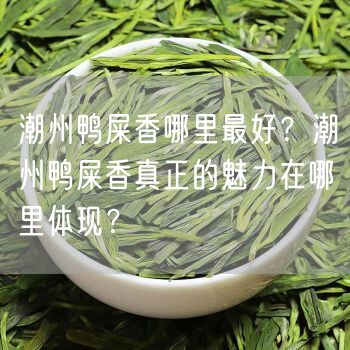 潮州鸭屎香哪里最好？潮州鸭屎香真正的魅力在哪里体现？