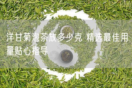 洋甘菊泡茶放多少克 精选最佳用量贴心指导