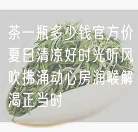 茶一瓶多少钱官方价夏日清凉好时光听风吹拂涌动心房润喉解渴正当时