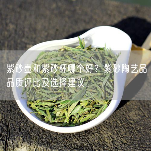 紫砂壶和紫砂杯哪个好？紫砂陶艺品品质评比及选择建议