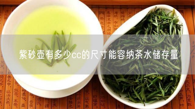 紫砂壶有多少cc的尺寸能容纳茶水储存量