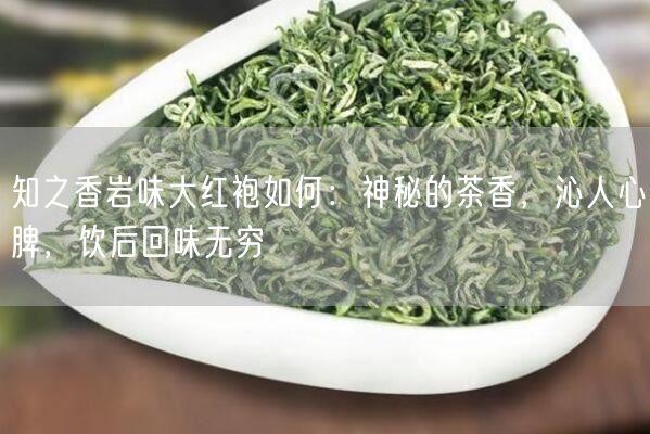 知之香岩味大红袍如何：神秘的茶香，沁人心脾，饮后回味无穷