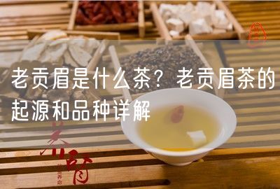 老贡眉是什么茶？老贡眉茶的起源和品种详解