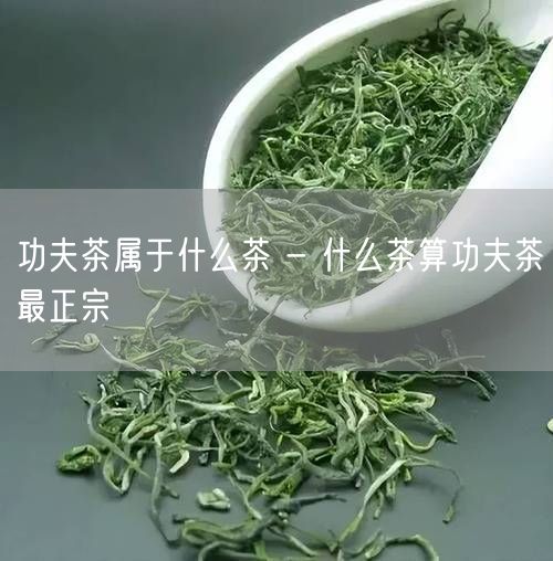 功夫茶属于什么茶 - 什么茶算功夫茶最正宗