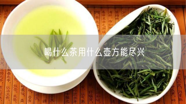 喝什么茶用什么壶方能尽兴