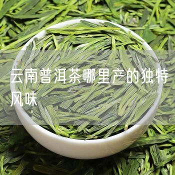 云南普洱茶哪里产的独特风味