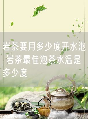 岩茶要用多少度开水泡 岩茶最佳泡茶水温是多少度