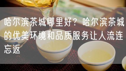 哈尔滨茶城哪里好？哈尔滨茶城的优美环境和品质服务让人流连忘返