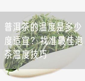 普洱茶的温度是多少度适宜？找准最佳泡茶温度技巧