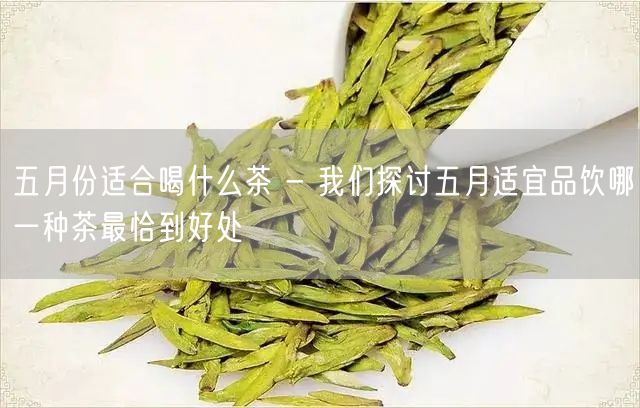 五月份适合喝什么茶 - 我们探讨五月适宜品饮哪一种茶最恰到好处