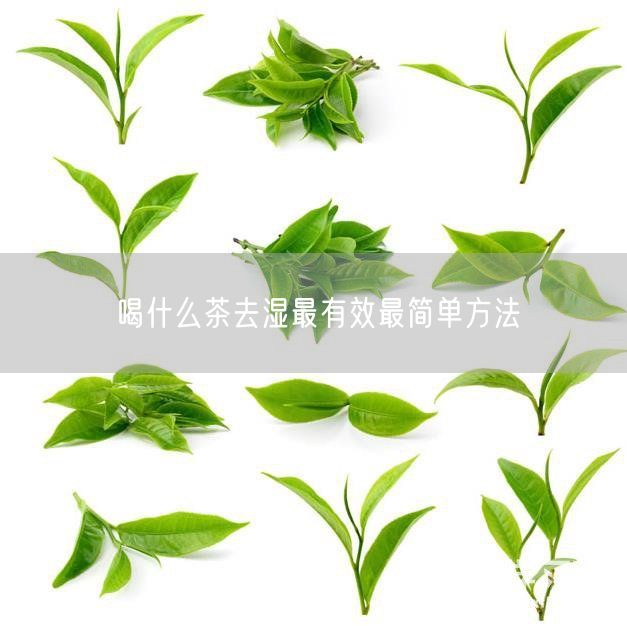 喝什么茶去湿最有效最简单方法