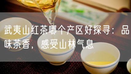 武夷山红茶哪个产区好探寻：品味茶香，感受山林气息