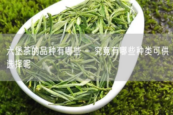 六堡茶的品种有哪些 - 究竟有哪些种类可供选择呢