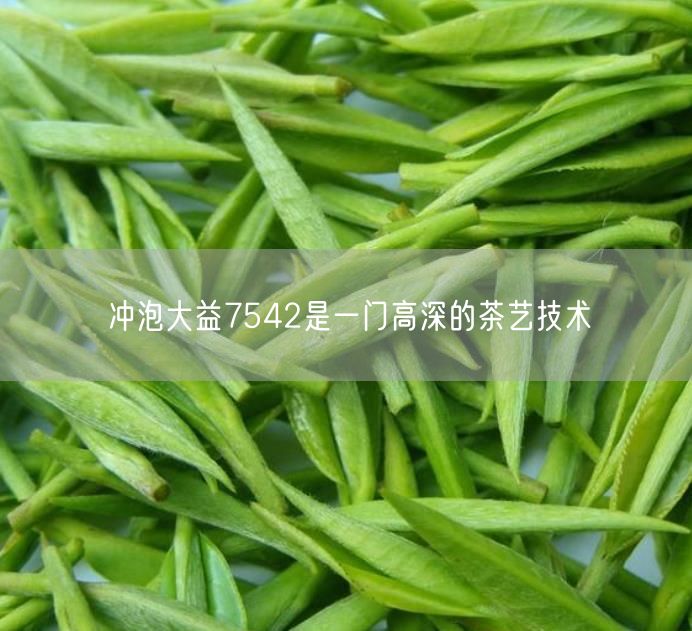 冲泡大益7542是一门高深的茶艺技术
