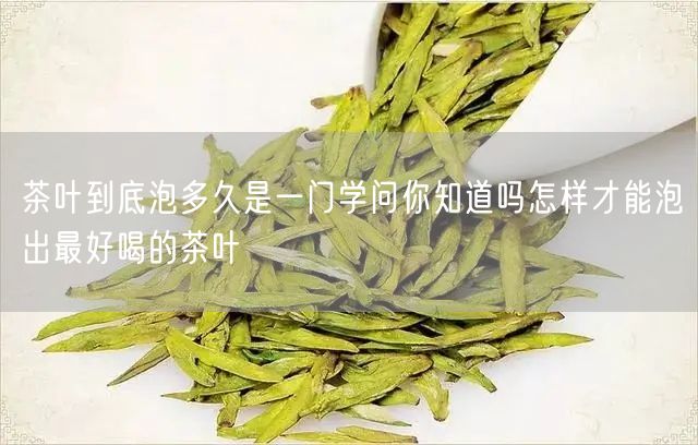 茶叶到底泡多久是一门学问你知道吗怎样才能泡出最好喝的茶叶