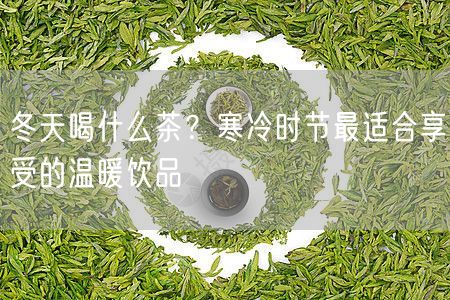 冬天喝什么茶？寒冷时节最适合享受的温暖饮品