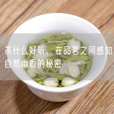 茶什么好听，在品茗之间感知自然幽香的秘密