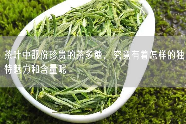 茶叶中那份珍贵的茶多糖，究竟有着怎样的独特魅力和含量呢