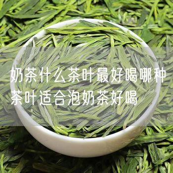 奶茶什么茶叶最好喝哪种茶叶适合泡奶茶好喝