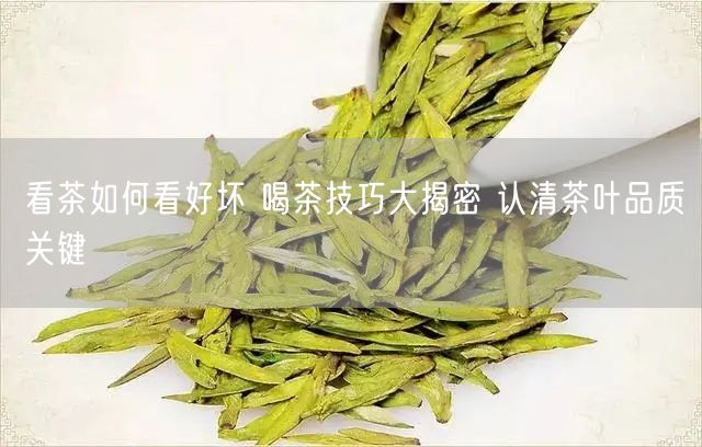 看茶如何看好坏 喝茶技巧大揭密 认清茶叶品质关键