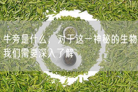 牛旁是什么，对于这一神秘的生物我们需要深入了解