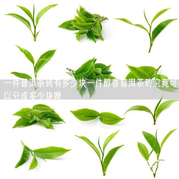 一件普洱茶砖有多少块一件醇香普洱茶砖究竟可以分成多少块哩