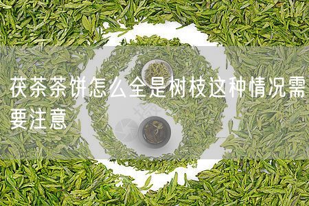 茯茶茶饼怎么全是树枝这种情况需要注意