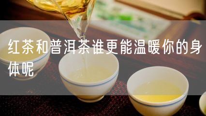 红茶和普洱茶谁更能温暖你的身体呢