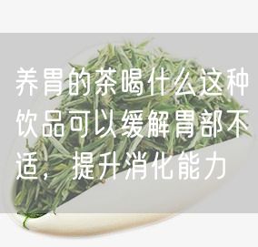 养胃的茶喝什么这种饮品可以缓解胃部不适，提升消化能力