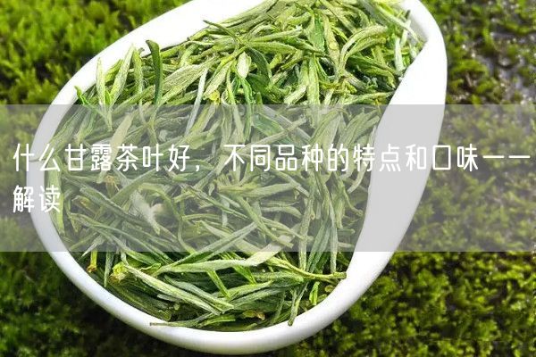 什么甘露茶叶好，不同品种的特点和口味一一解读