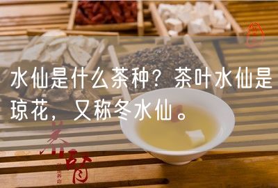 水仙是什么茶种？茶叶水仙是琼花，又称冬水仙。