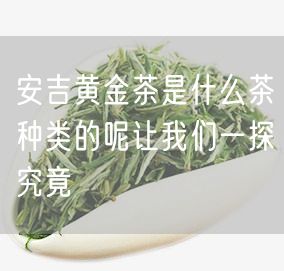 安吉黄金茶是什么茶种类的呢让我们一探究竟