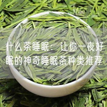 什么茶睡眠：让你一夜好眠的神奇睡眠茶种类推荐