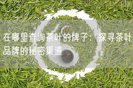 在哪里查询茶叶的牌子：探寻茶叶品牌的秘密渠道