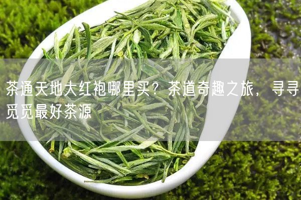 茶通天地大红袍哪里买？茶道奇趣之旅，寻寻觅觅最好茶源