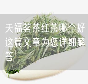 天福茗茶红茶哪个好这篇文章为您详细解答