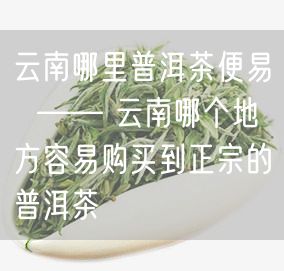 云南哪里普洱茶便易  —— 云南哪个地方容易购买到正宗的普洱茶