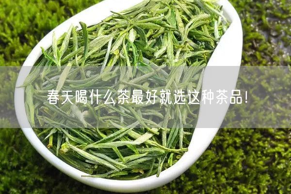 春天喝什么茶最好就选这种茶品！